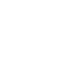 Stadsschouwburg en De Vereeniging wit